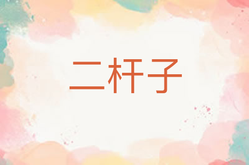 二杆子