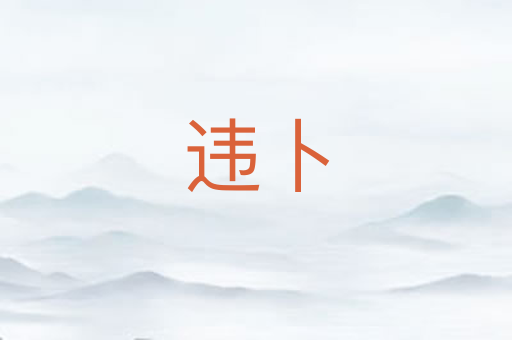 违卜