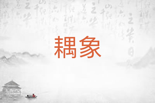 耦象