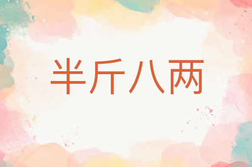 半斤八两