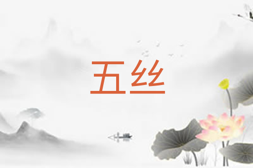 五丝