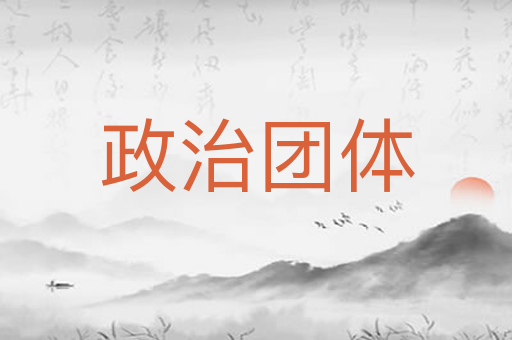 政治团体