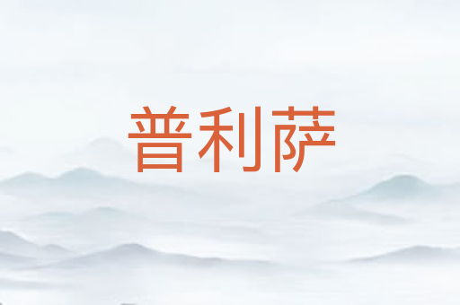 普利萨