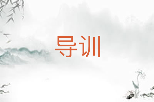 导训