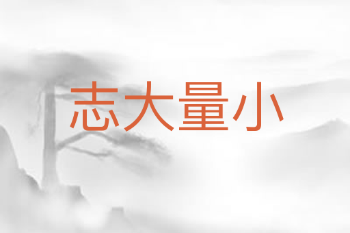 志大量小