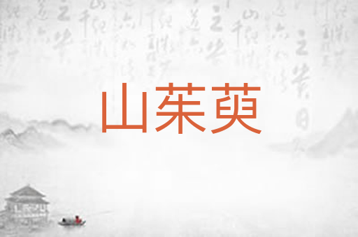 山茱萸