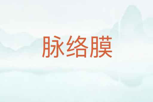 脉络膜