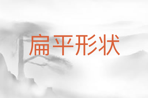 扁平形状