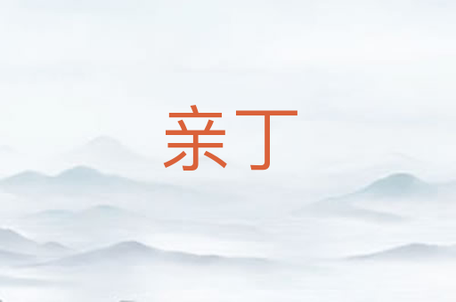 亲丁