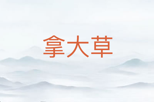 拿大草