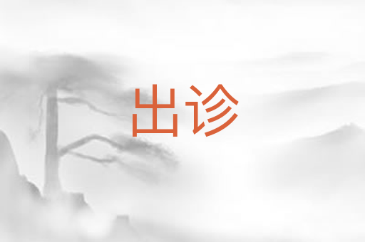 出诊