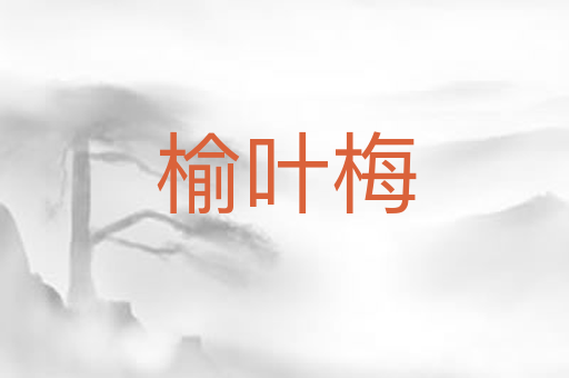 榆叶梅