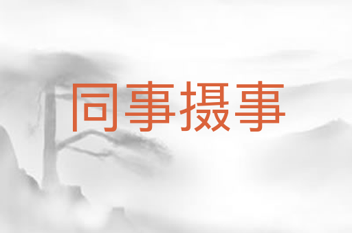 同事摄事
