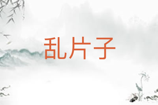 乱片子