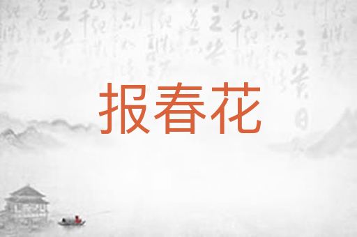 报春花