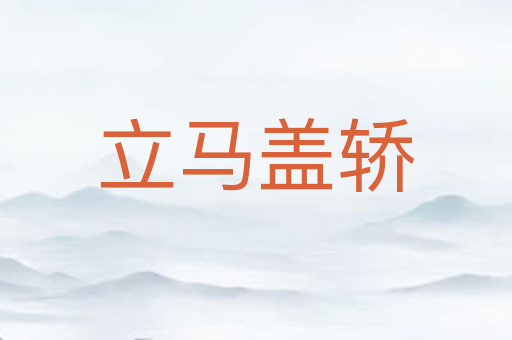 立马盖轿