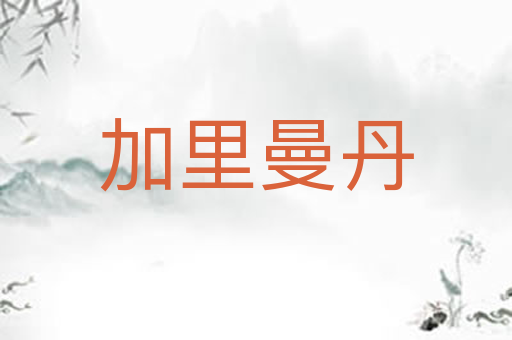 加里曼丹