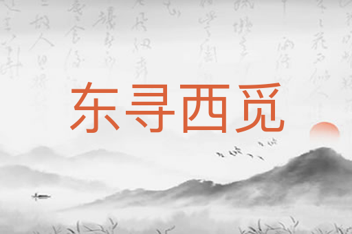 东寻西觅