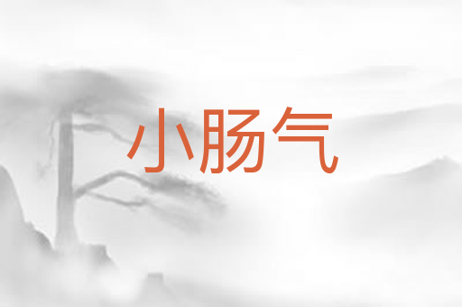 小肠气