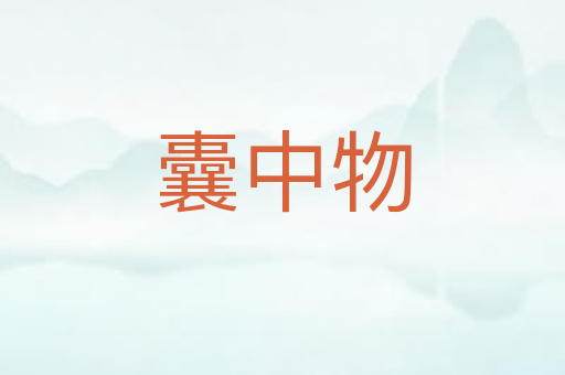 囊中物
