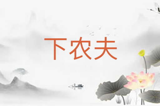 下农夫
