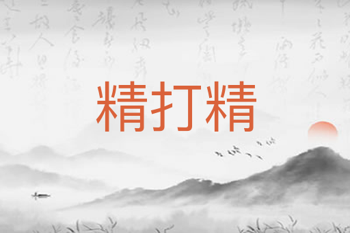 精打精