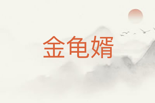 金龟婿