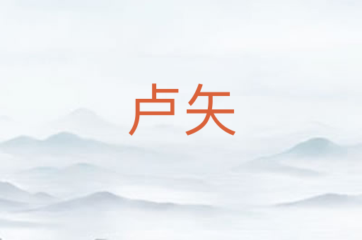 卢矢