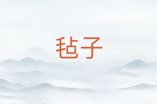 毡子