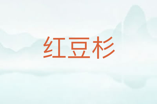 红豆杉