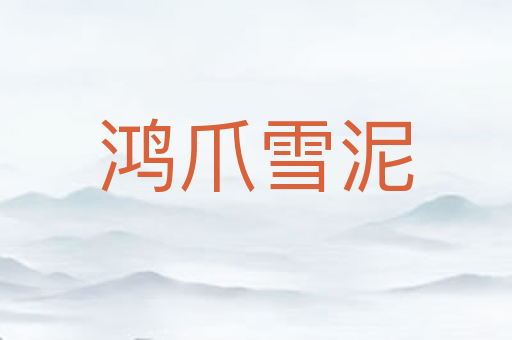 鸿爪雪泥