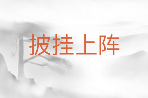 披挂上阵