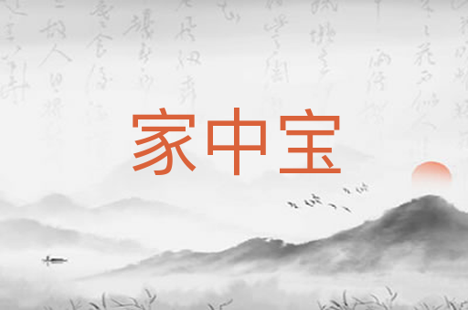 家中宝