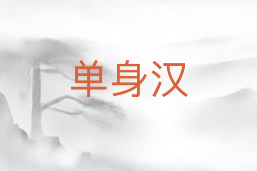 单身汉