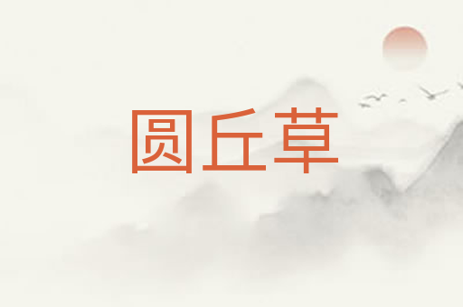 圆丘草