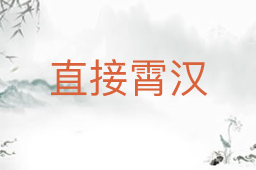 直接霄汉