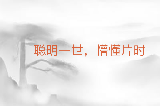 聪明一世，懵懂片时