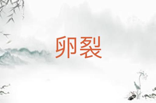 卵裂