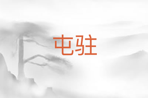 屯驻