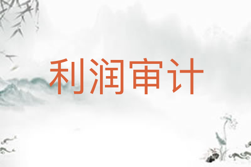 利润审计