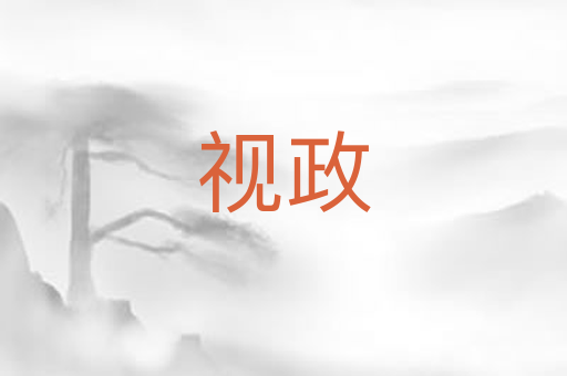 视政