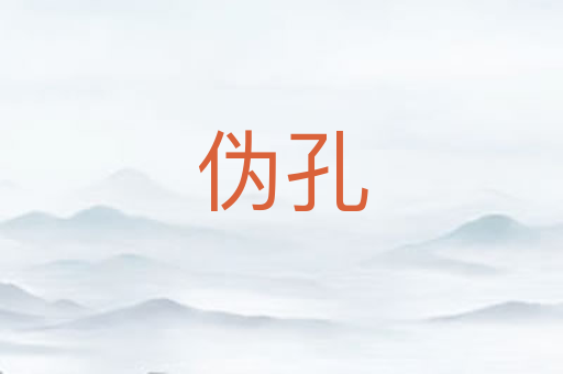 伪孔