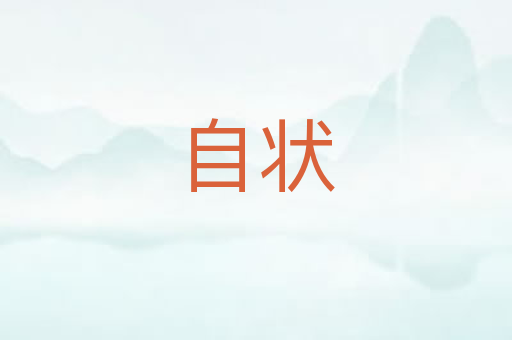 自状