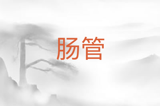 肠管