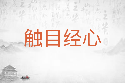 触目经心