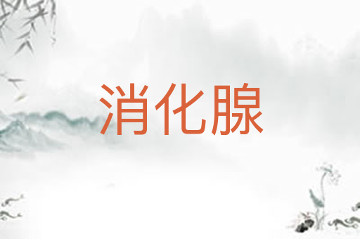 消化腺