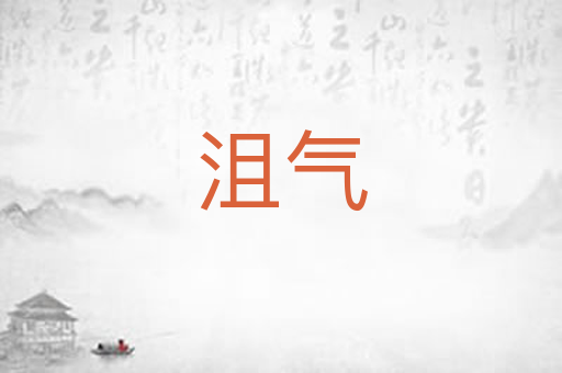 沮气