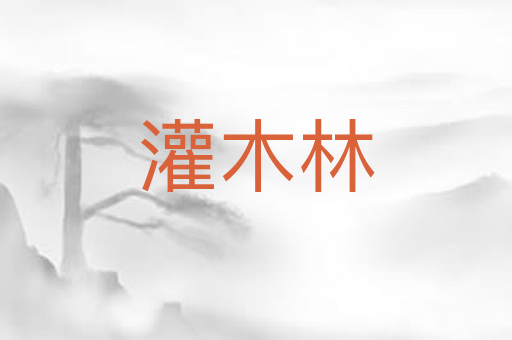 灌木林