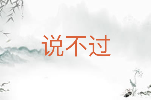 说不过