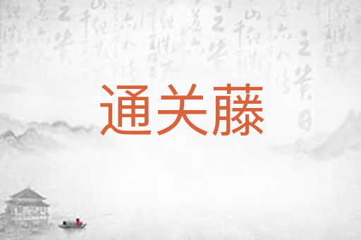 通关藤